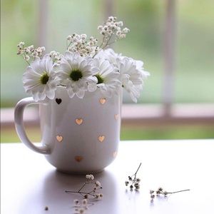 Meet your Posher, Nelia